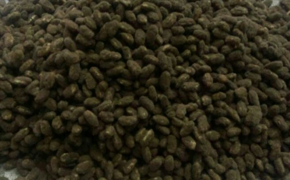 黒麹菌(麹)