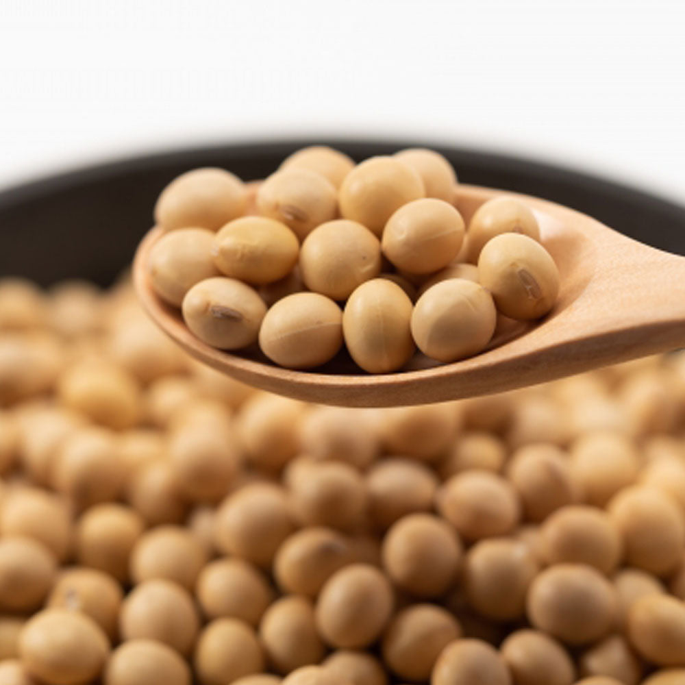 米麹と大豆のナチュラルプロテイン 20g