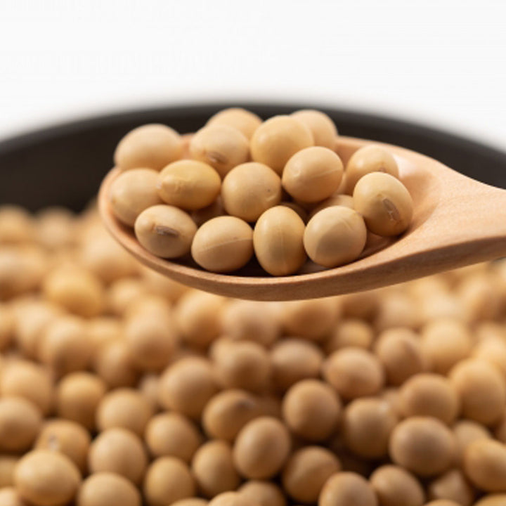 米麹と大豆のナチュラルプロテイン 20g