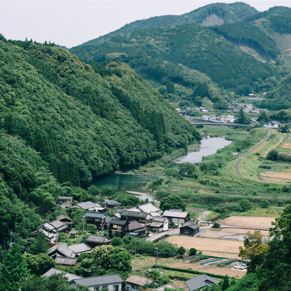 【甘酒習慣で、美しく健やかな毎日に】MUROオリジナル甘酒1ヶ月セット