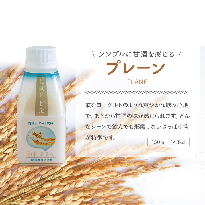 【贈答用/送料無料】白神手づくり工房 乳酸菌甘酒「白神ささら」 150ml 20本セット