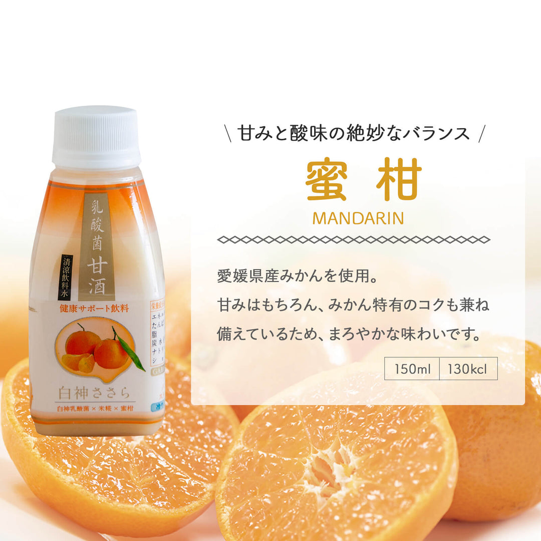 【贈答用/送料無料】白神手づくり工房 乳酸菌甘酒「白神ささら」 150ml 20本セット