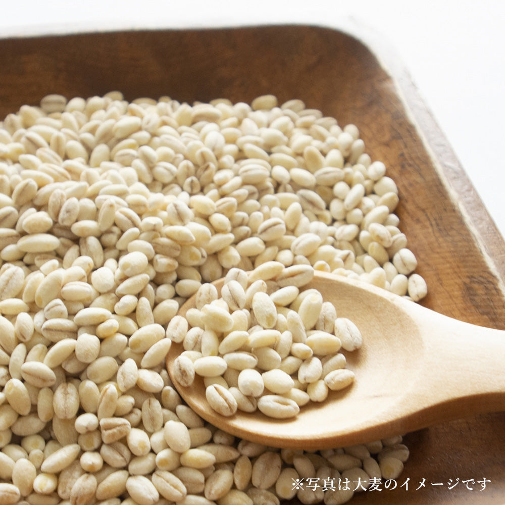 大麦麹調味料 玉ねぎ麹