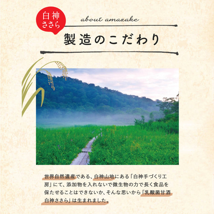 【贈答用/送料無料】白神手づくり工房 乳酸菌甘酒｢白神ささら｣ 150ml 20本セット