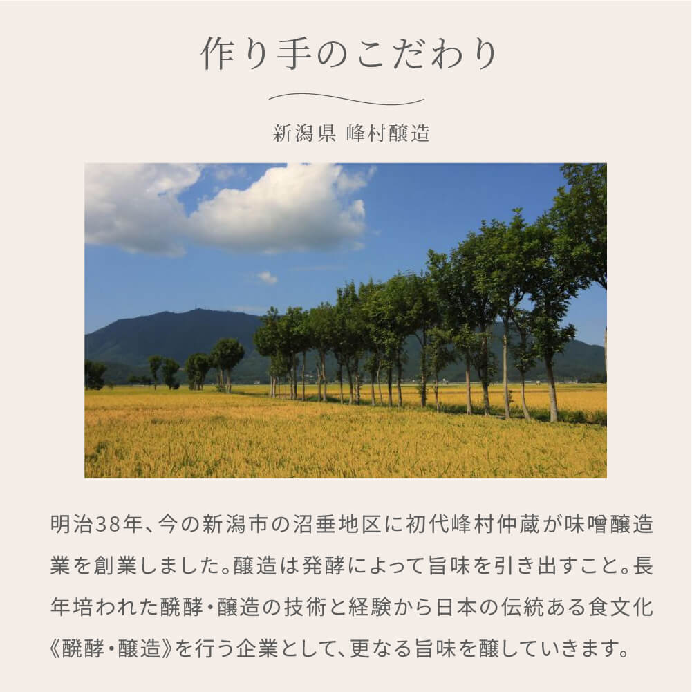 【贈答用/送料無料】峰村醸造 あまざけ 900ml 2本セット／甘酒